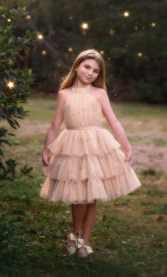 AMEERAH DRESS CHAMPAGNE